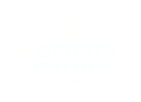 Borgata Casino